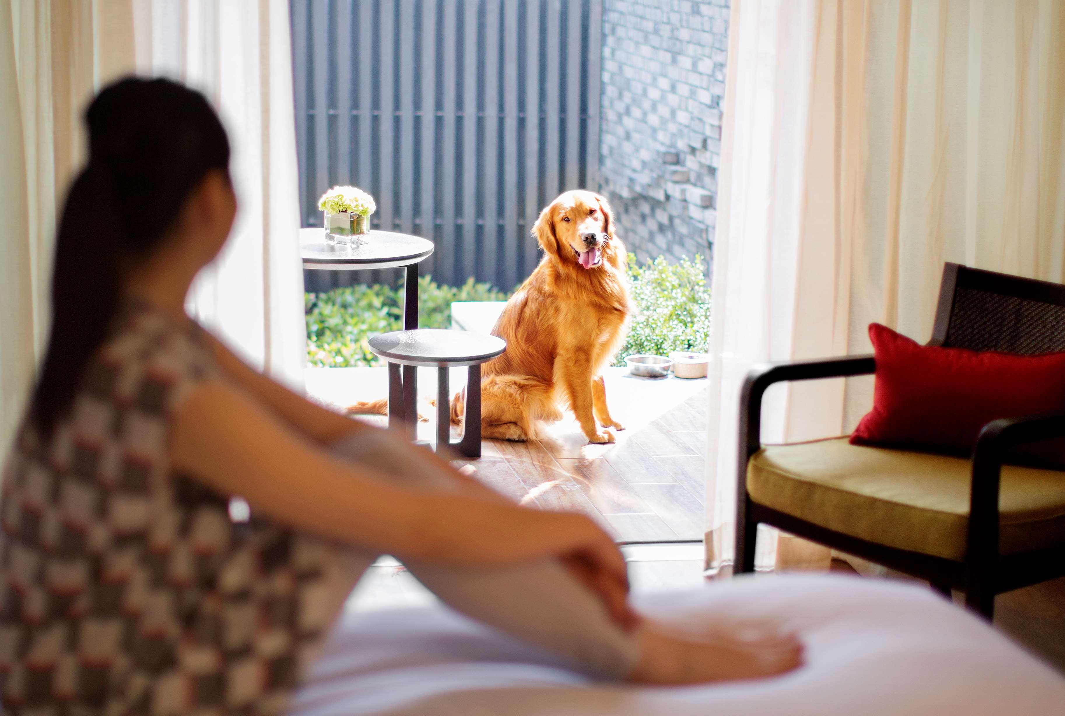 Hotel Hyatt Regency Chongming Esterno foto